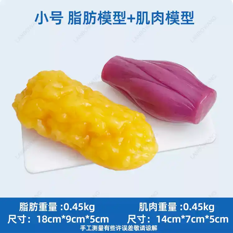 Réplicas de Músculo y Grasa Hu - Nutrition Of Fitness reseña y precio