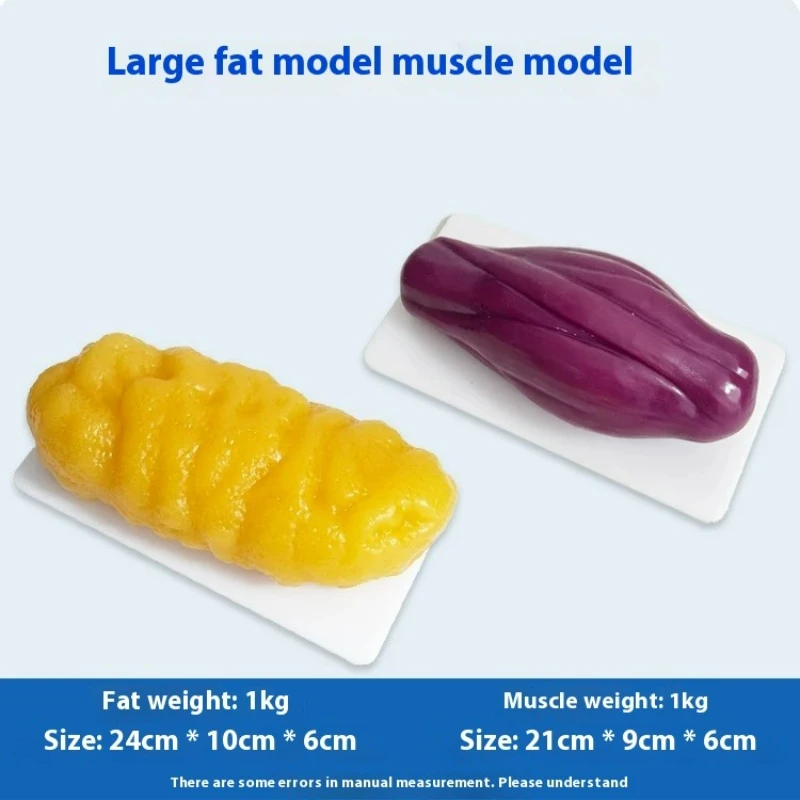 Réplicas de Músculo y Grasa Hu - Nutrition Of Fitness reseña y precio