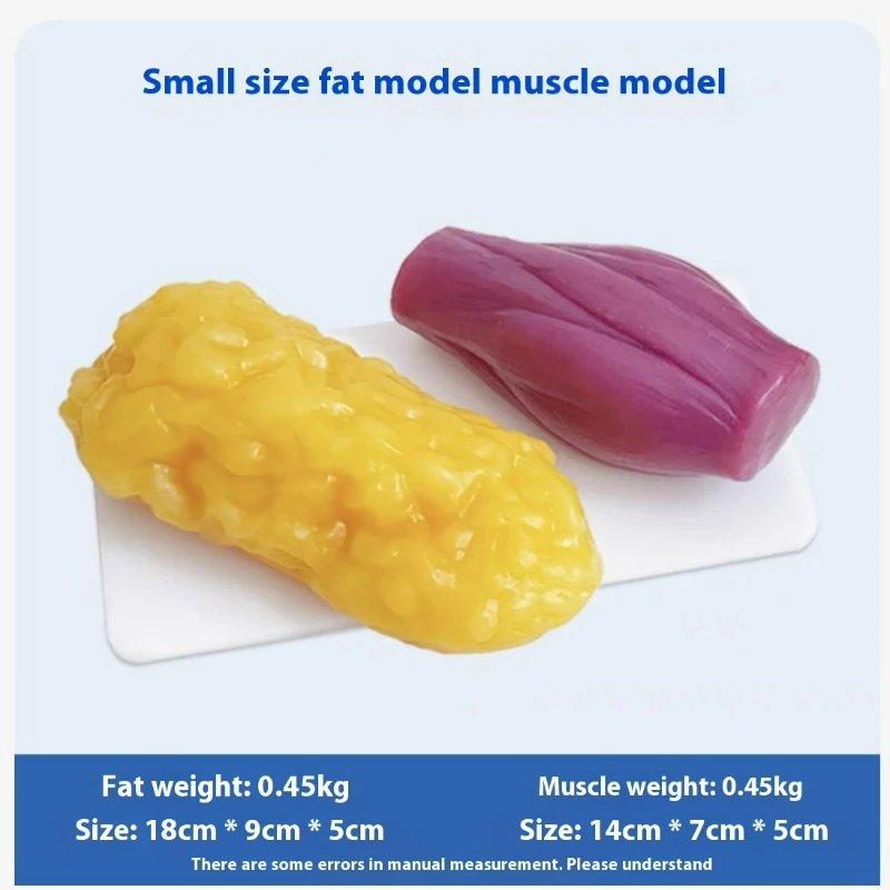 Réplicas de Músculo y Grasa Hu - Nutrition Of Fitness reseña y precio